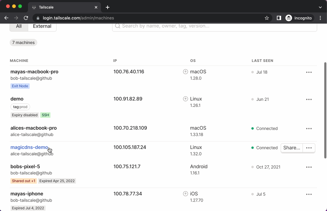 Animation of enabling MagicDNS and accessing a file server on port 8000 of a device using a human-readable DNS name for a device.