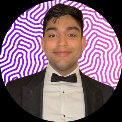 Raj Singh