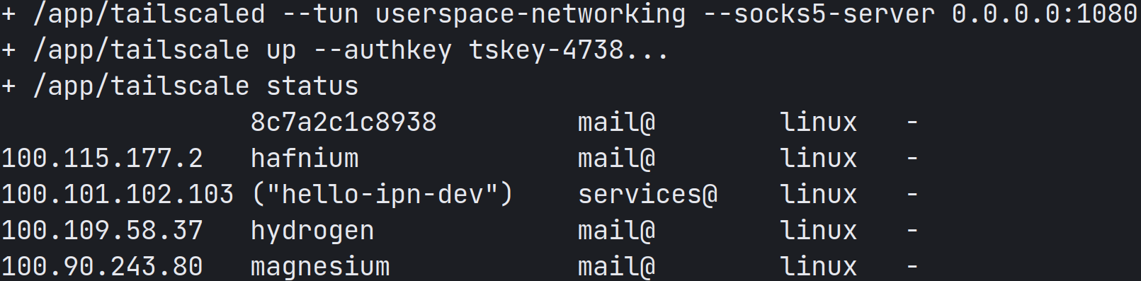 A container running the tailscaled server, bringing tailscale up with the newly generated key, and then showing all the machines on the network. The container is named as a random string of hexadecimal numbers, and the other machines are named hafnium, hydrogen, and magnesium.