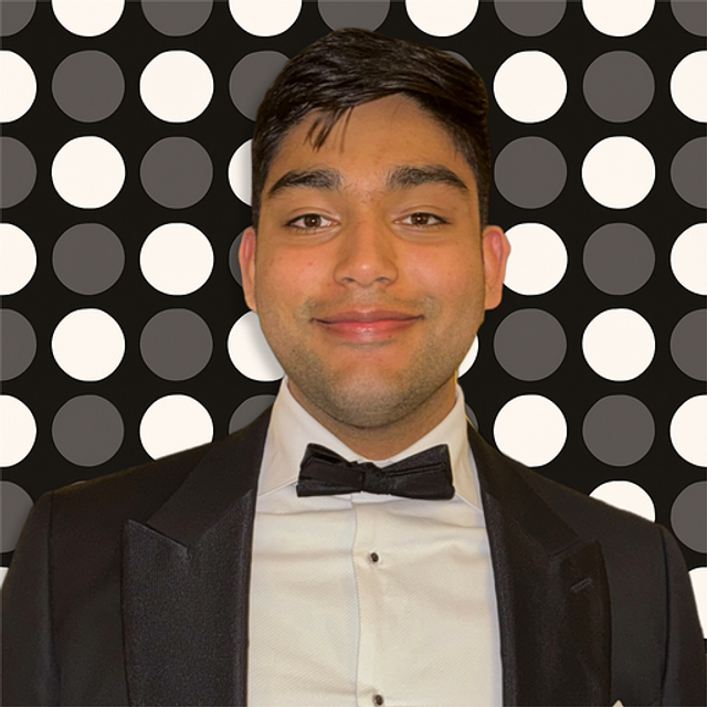 Raj Singh image